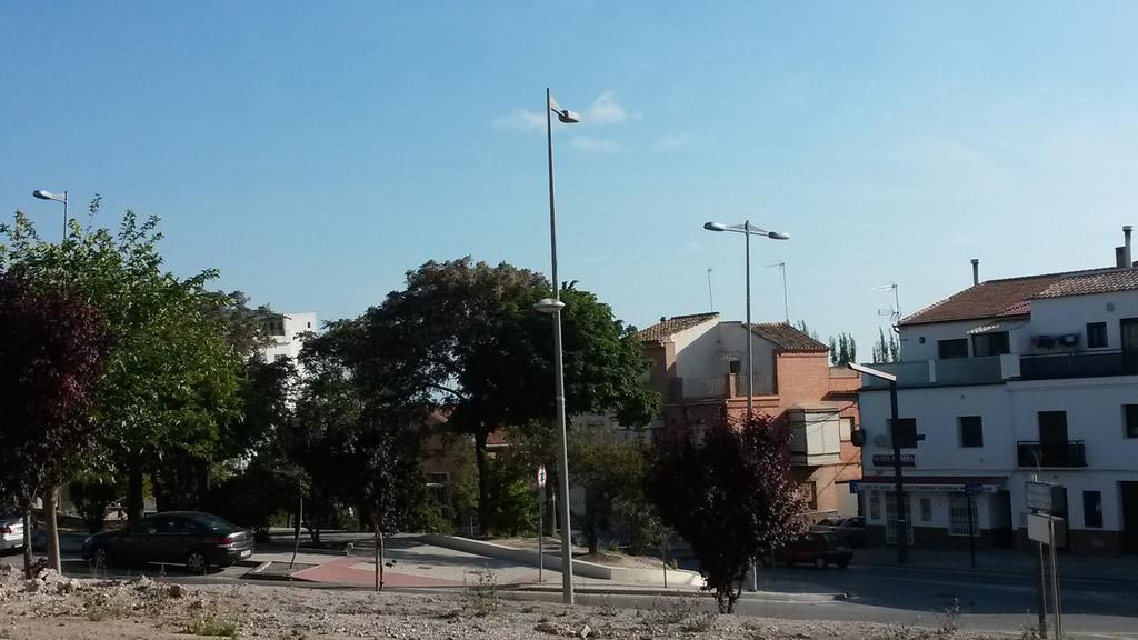 Hostal Virgen Del Pilar Баса Екстер'єр фото